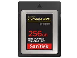SanDisk etc. 256GB